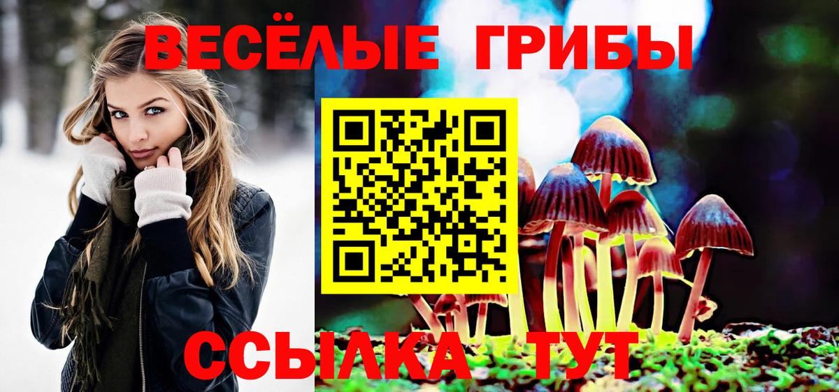 Псилоцибиновые грибы Magic Shrooms Губаха