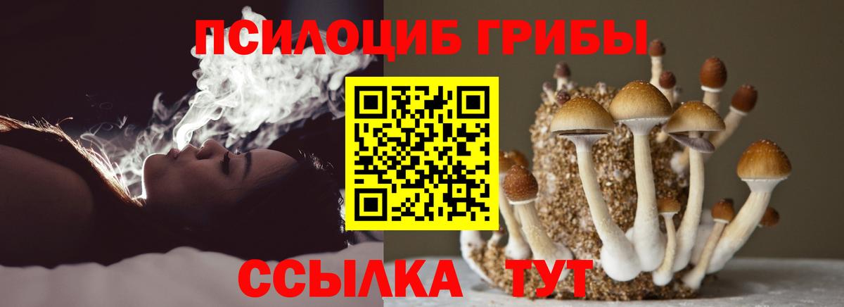 Псилоцибиновые грибы мухоморы  Вход с VPN  Губаха 